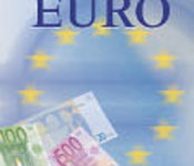 Buchtitel: Euro
